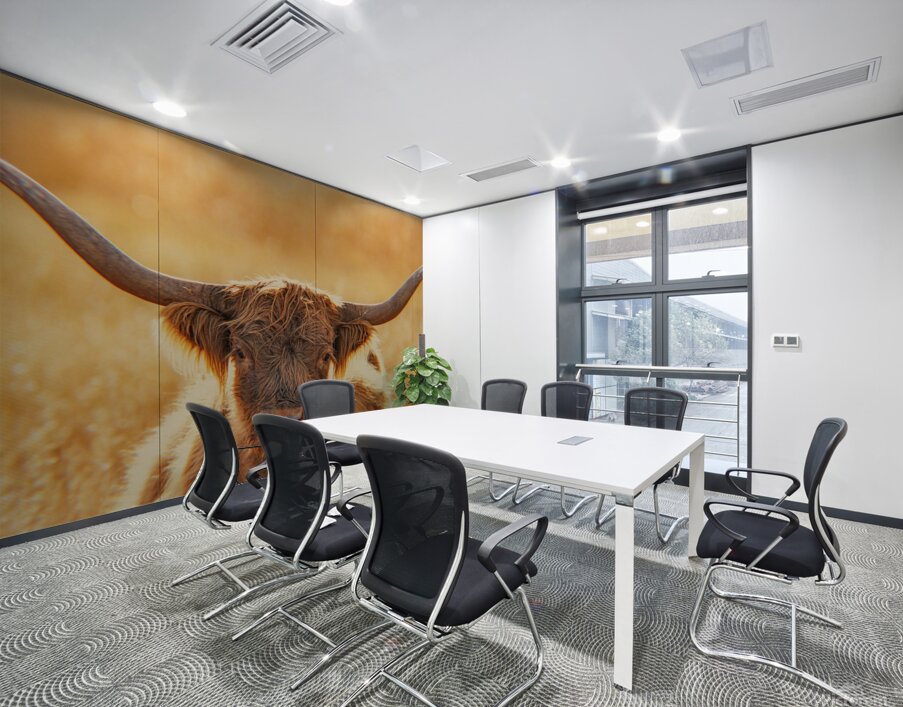 Highland Cow Wall Printing