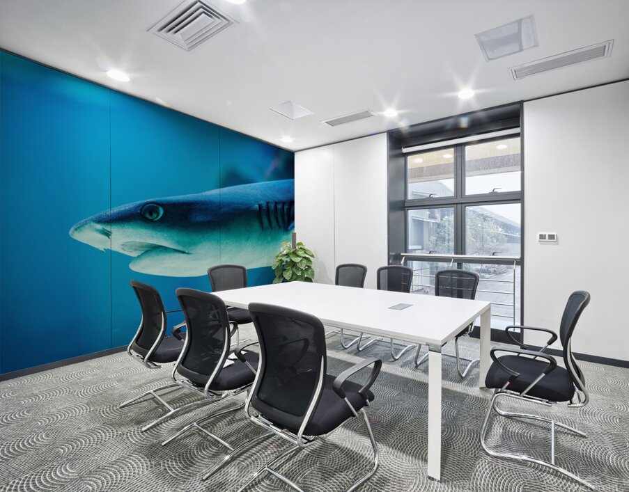 grey reef shark 7744765 Wall Printing
