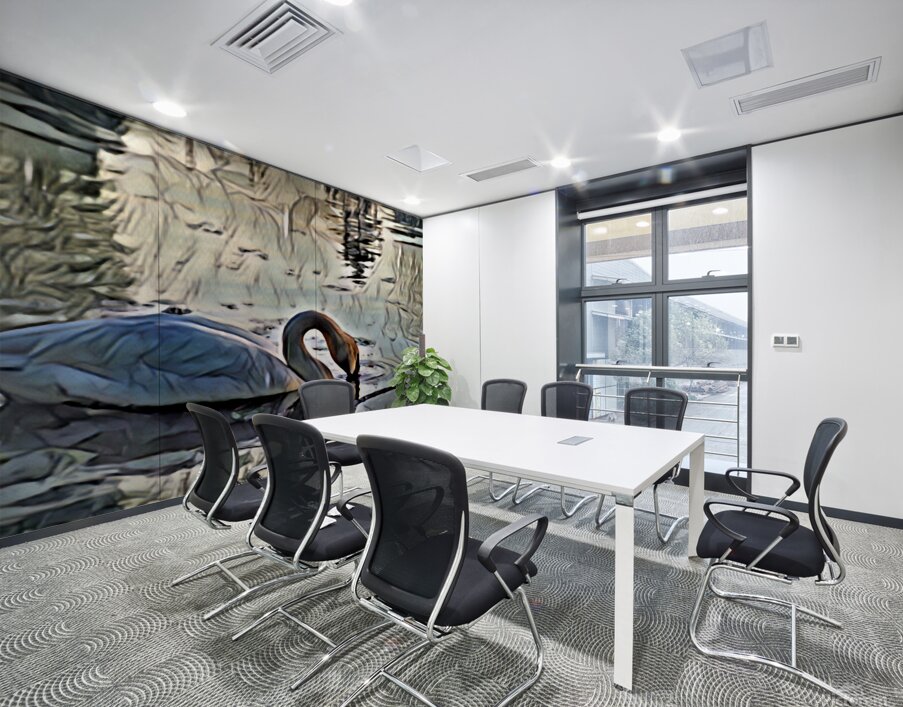 Swan on lake in the morning Wall Printing