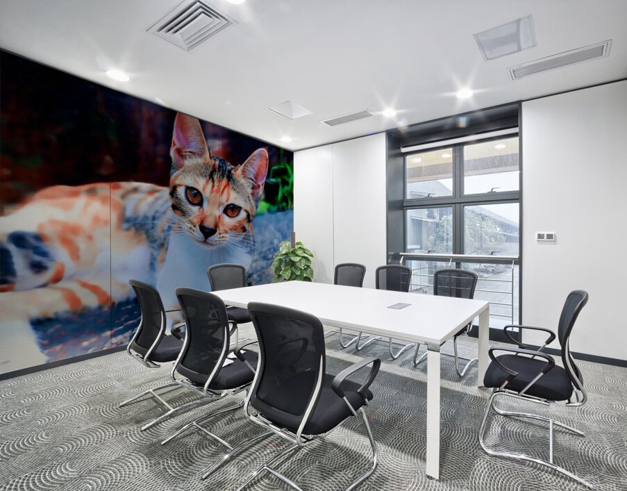 A Calico Cutie: A Symphony of Feline Beauty Wall Printing