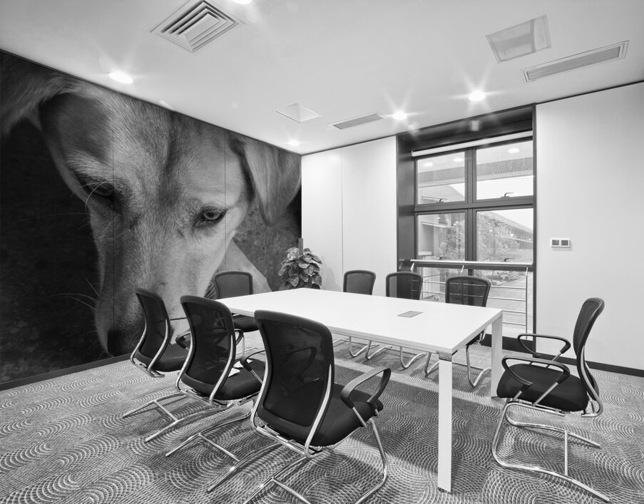 Close-up of Redbone Coonhound 208235 Wall Printing