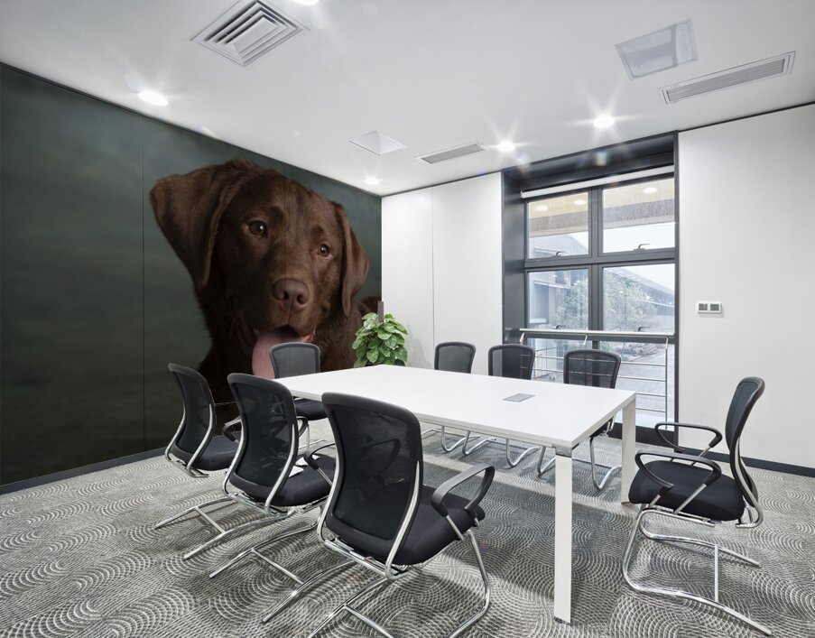 Portrait of Chocolate Labrador sticking out tongue 209001 Wall Printing