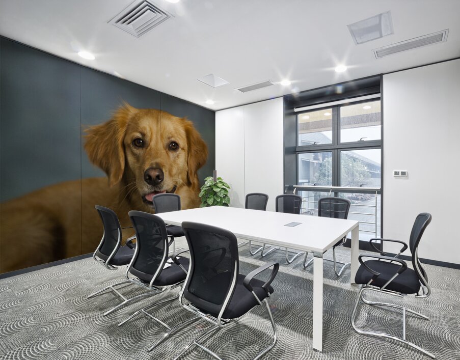 Portrait of Golden Retriever 213048 Wall Printing