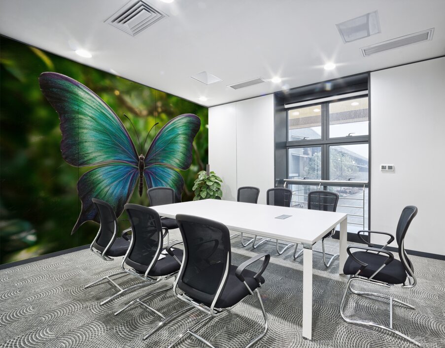 vibrant butterfly Wall Printing