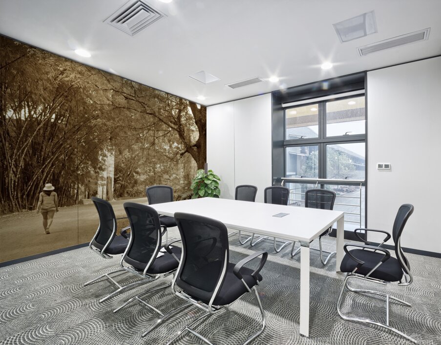 girl on a walk Wall Printing