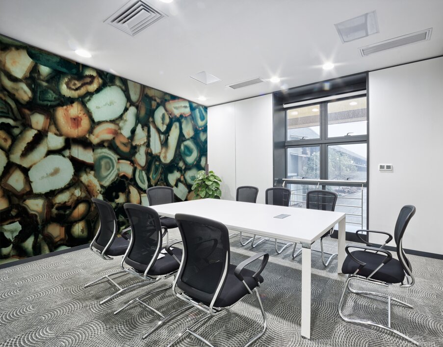 Shells Wall Printing