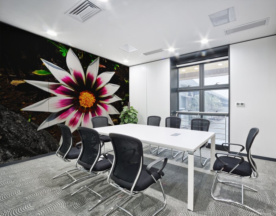 The gazania flower Wall Printing