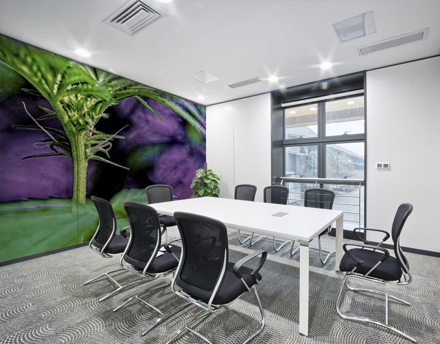 Young Female Marijuana  Flower Wall Printing