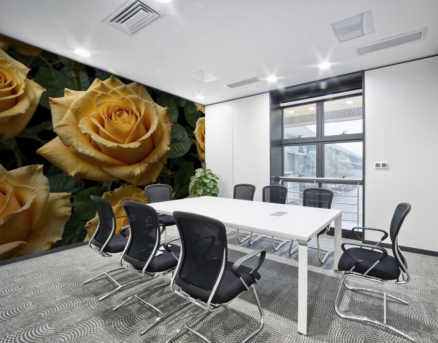 yellow roses full size high resolution Wall Printing