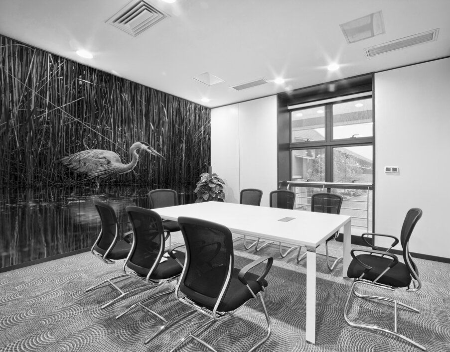 10673 Great Blue Heron Ardea herodias Wall Printing