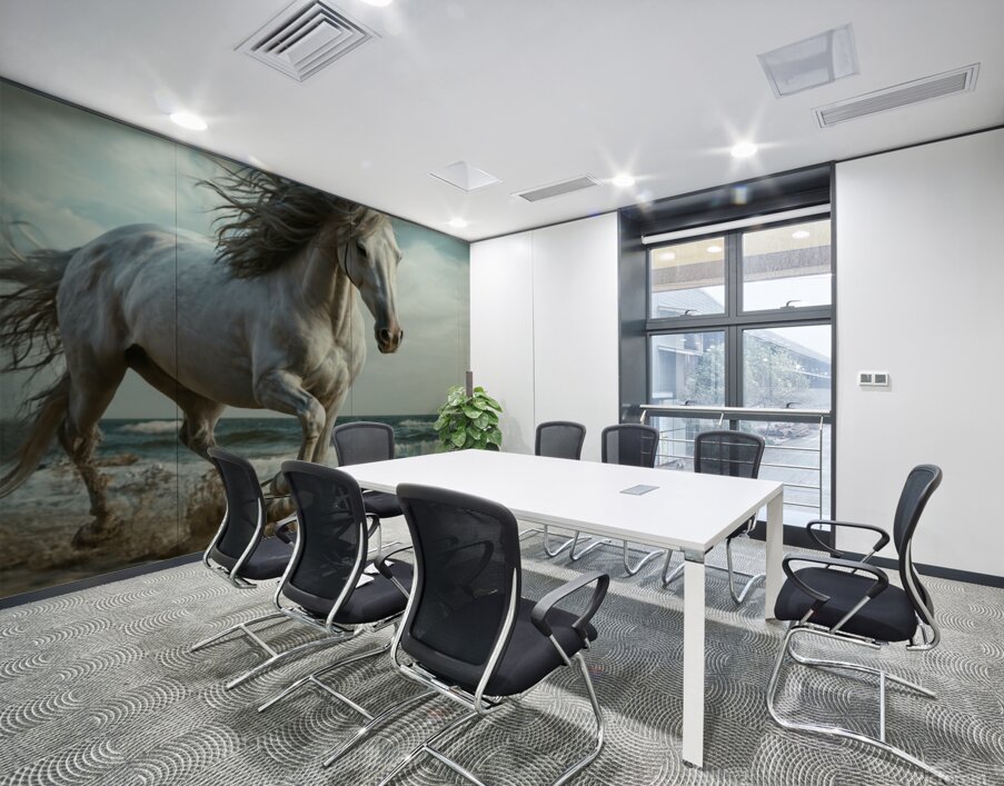 White horse  Wall Printing