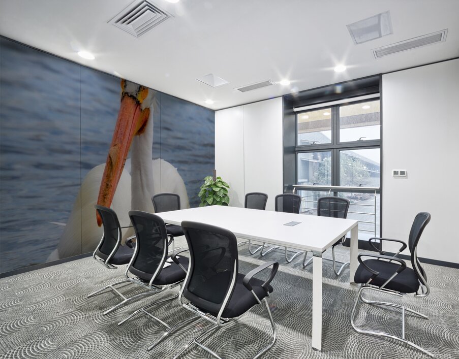 Pelican with water droplets  Wall Printing