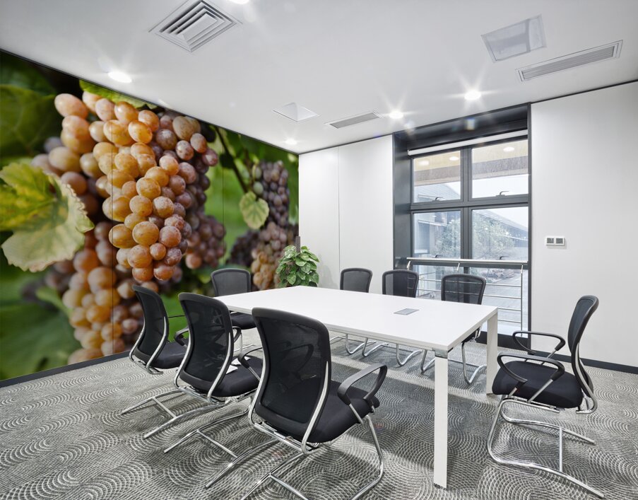 Organic Ripe Pinot Gris Grapes Okanagan Valley Vineyard Wall Printing