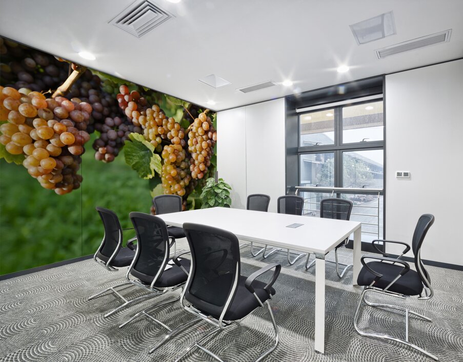 Organic Ripe Pinot Gris Grapes Okanagan Valley Vineyard Wall Printing