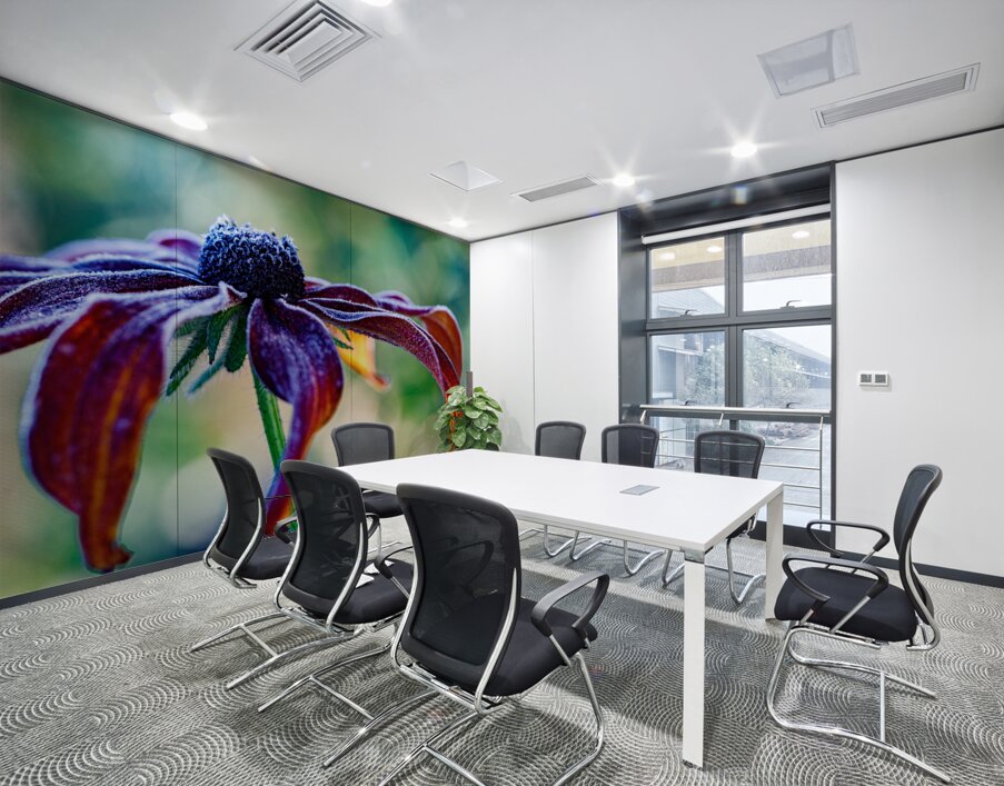 Frosted Black Eyed Susan Wall Printing