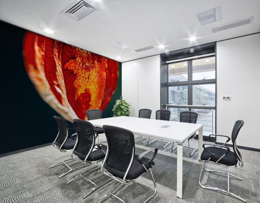 Bright Orange Lantern Flower Wall Printing