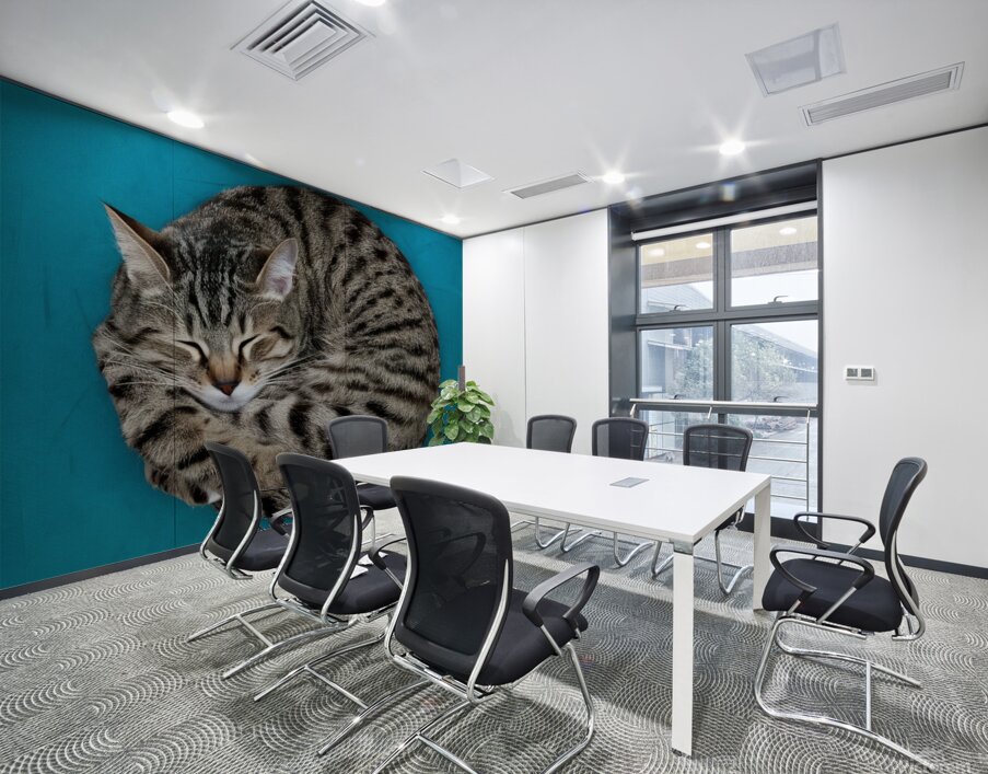 A cat sleeping in an impossibly tangled contorted position. Wall Printing