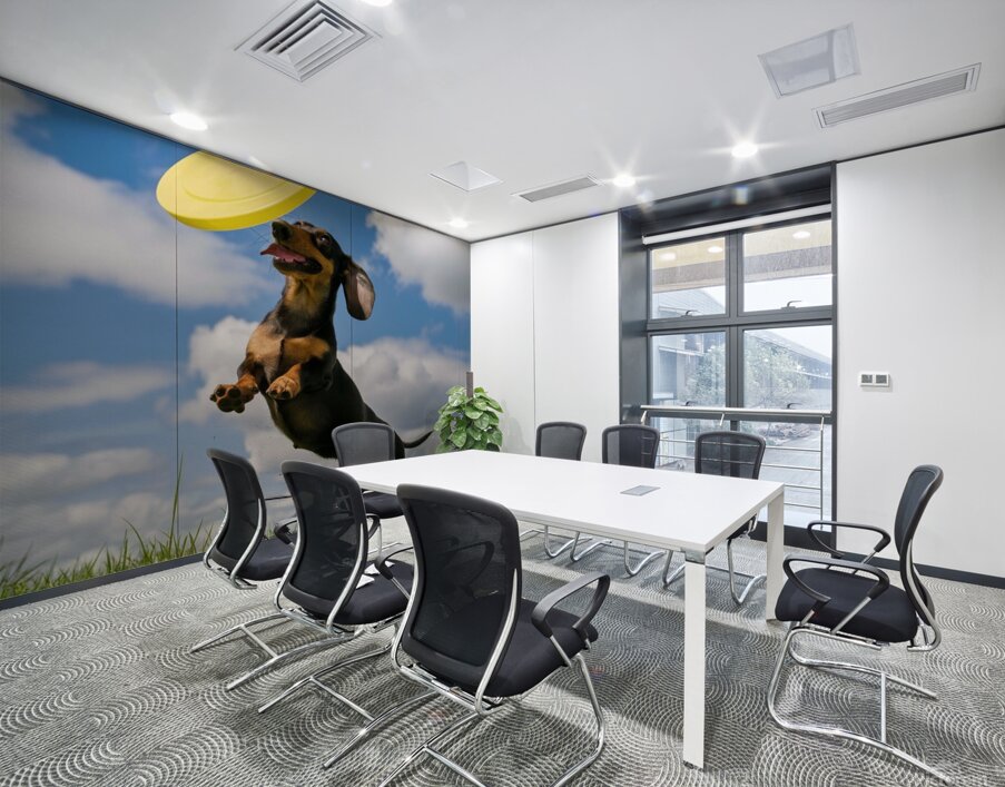 Fetching fun: A Dachshund jumping to catch a frisbee in mid-air. Wall Printing