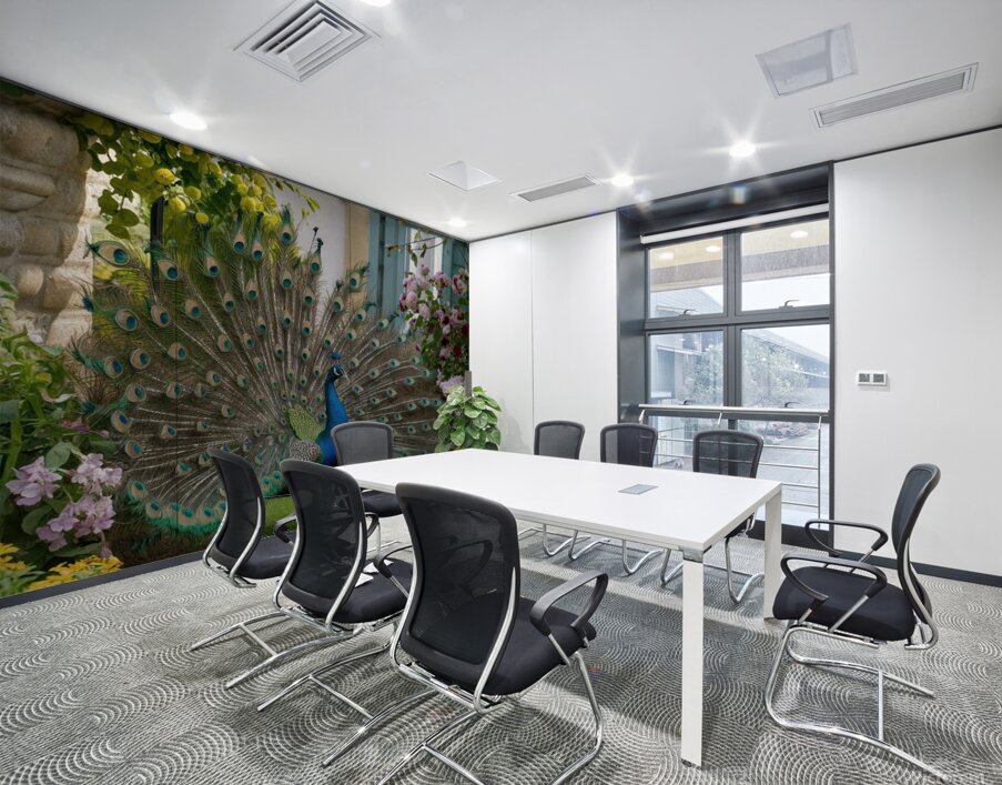  peacock spreading its wings in a beautiful  Wall Printing