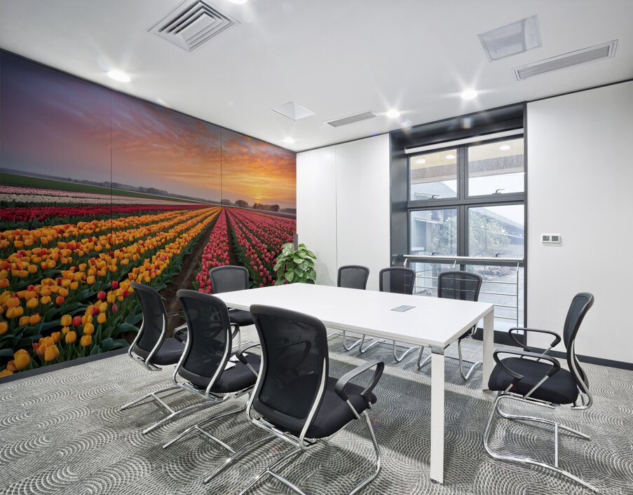 Beautiful Red and Yellow Tulips With RainDrops with sunrise   Wall Printing