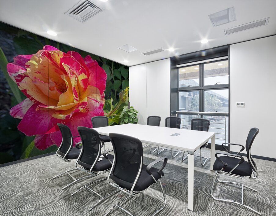 Pink Lemonade Wall Printing