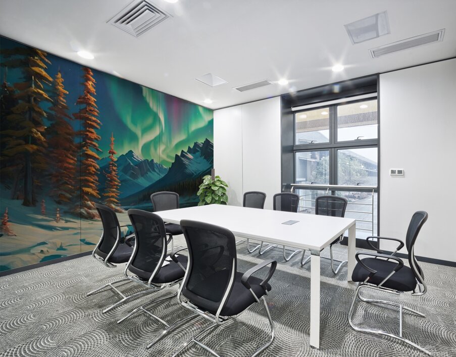 Northern light Canada art 20k3 Wall Printing