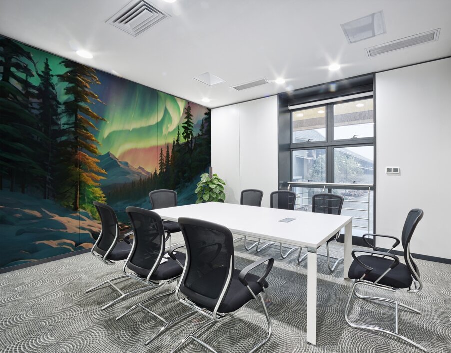 Northern light Canada art 20k5 Wall Printing