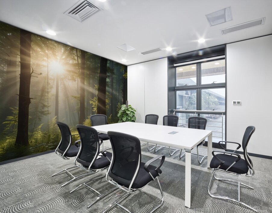 Sunlight Filtering Through Forest Trees amazing serene landscape Wall Printing