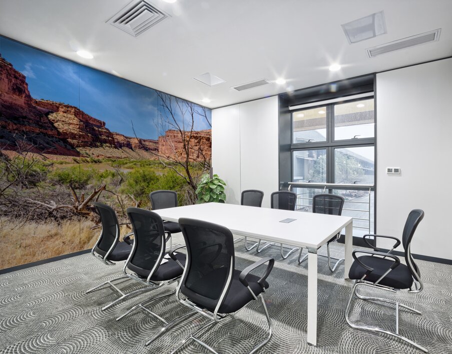 Dead Tree Colorado River Utah Wall Printing