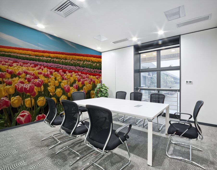 Default A field of tulips in different colors under a blue sky Wall Printing