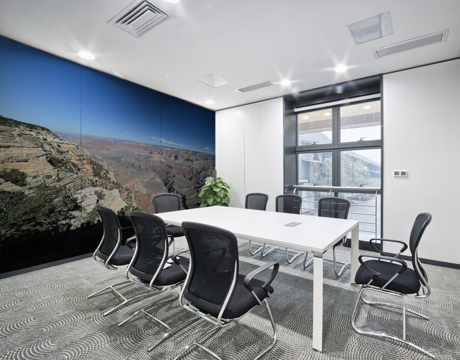 Grand Canyon BWS 2540 Wall Printing