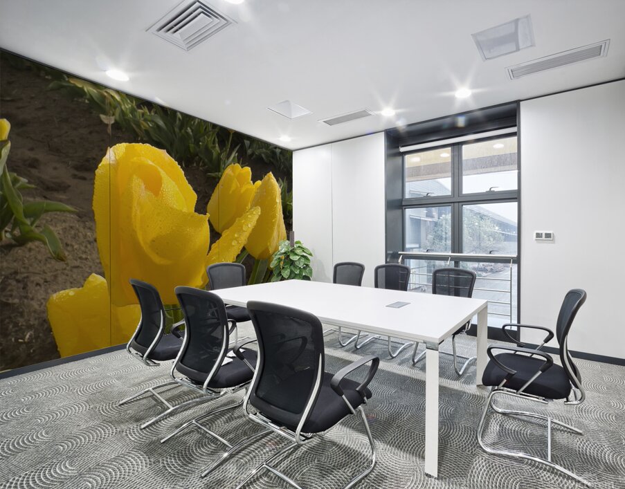 Wooden Shoe Tulip Farm IMG 8311 Wall Printing