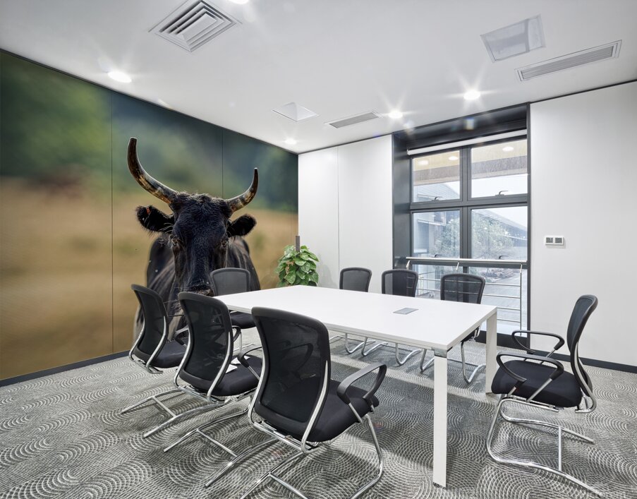 Longhorn Lady Wall Printing