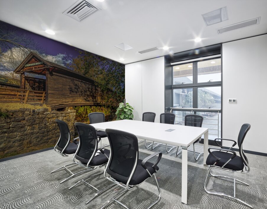 Covington Virginia Humpback Bridge Wall Printing