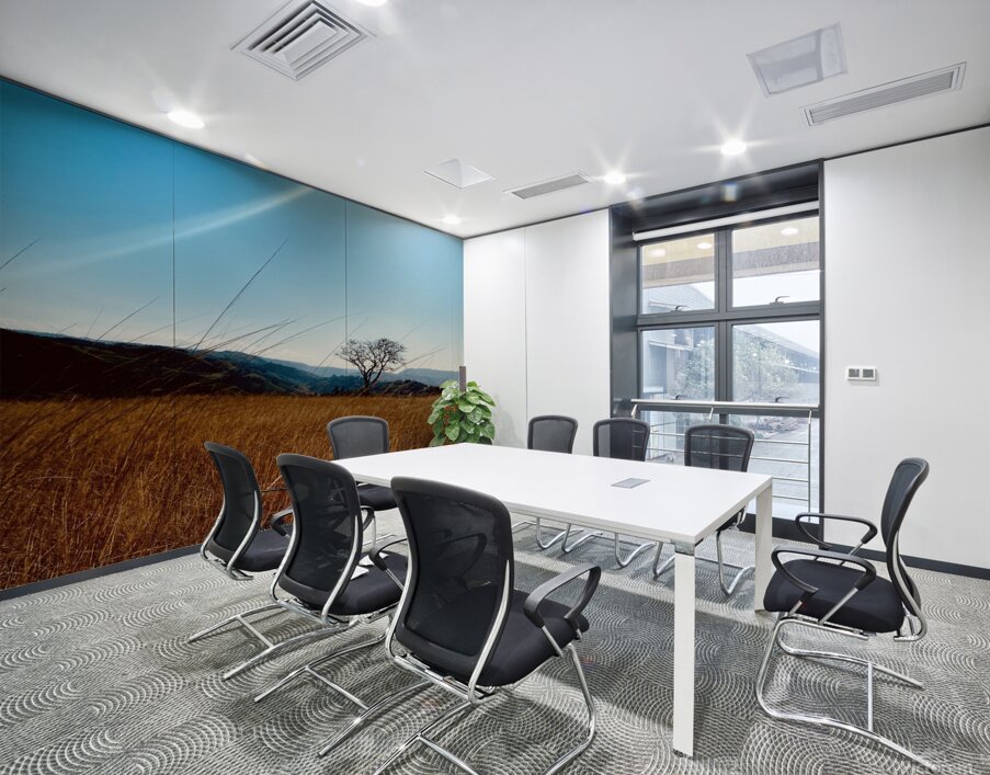 IMG 1198 Wall Printing