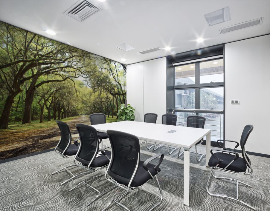 Live Oaks & Spanish Moss Wormsloe State Historic Site Savannah Georgia 85285 Wall Printing