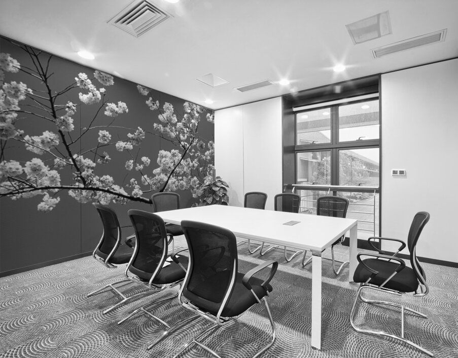 Cherry Blossoms Washington DC USA 152181 Wall Printing