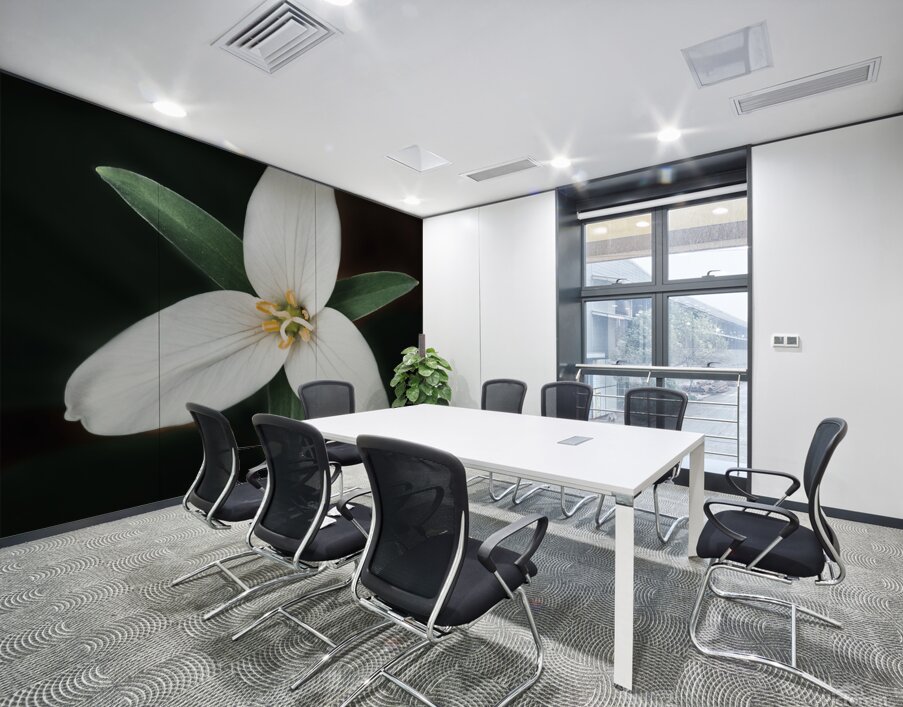 The Lone Bloom: A Study of Solitude in Flora Wall Printing