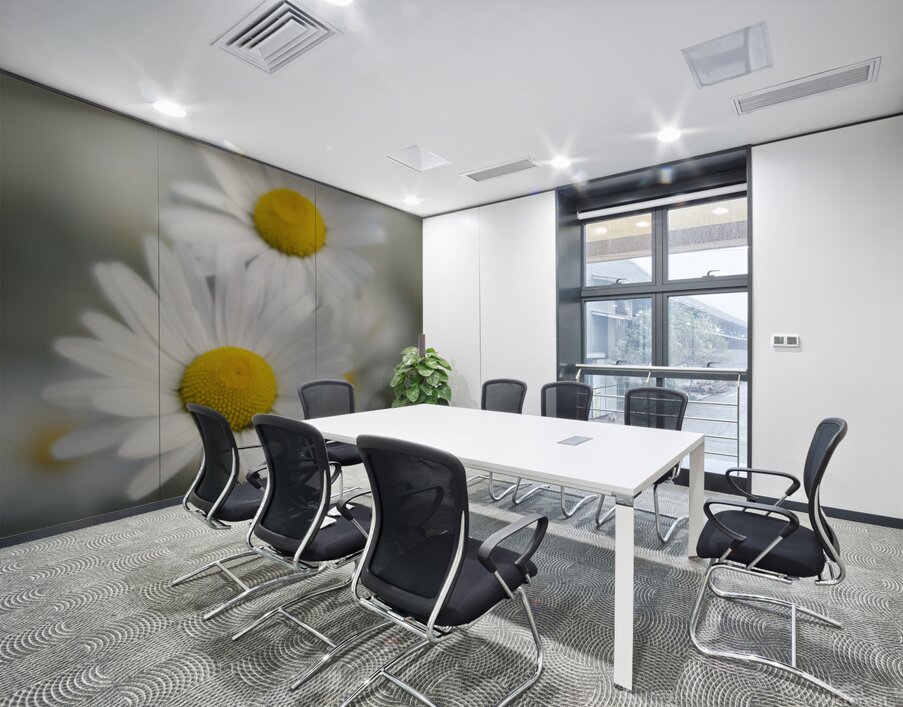 Whispers of Purity”: White Daisies in Soft Focus Wall Printing