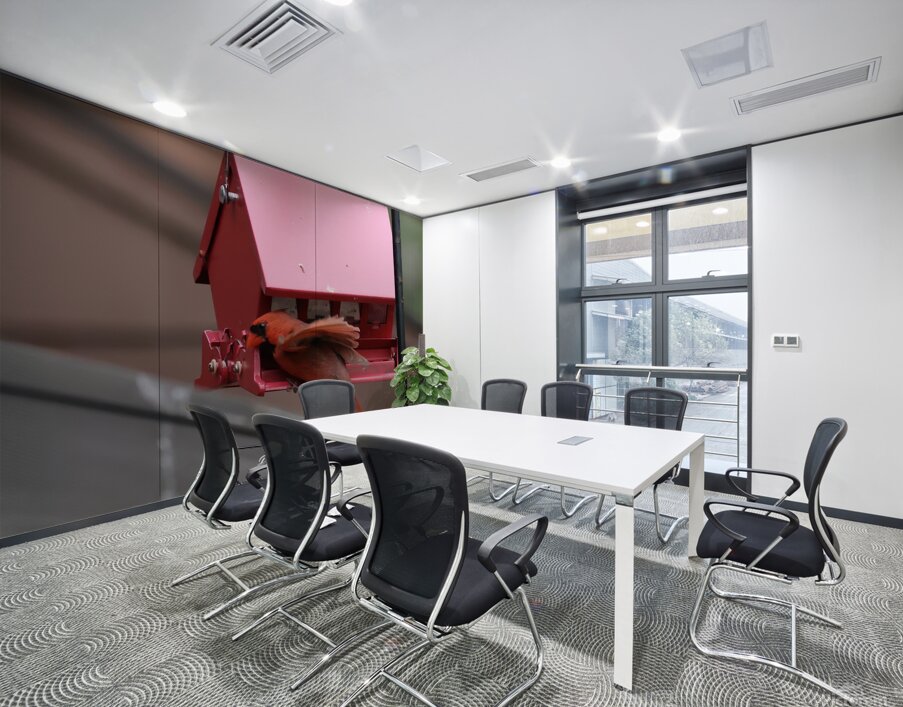 CardinalAtFeederLanding Wall Printing