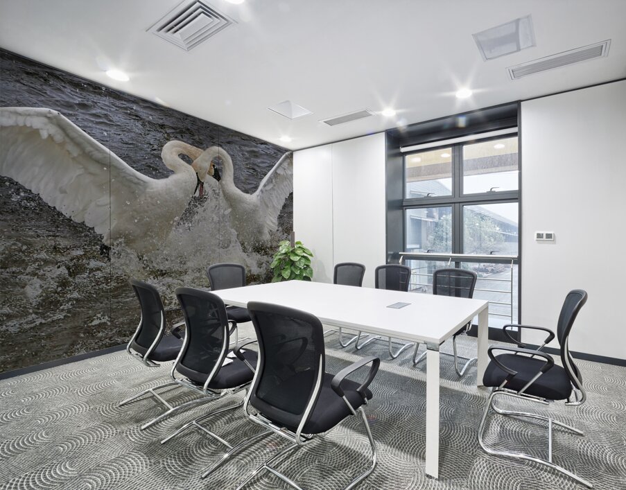 Battling Swans Wall Printing