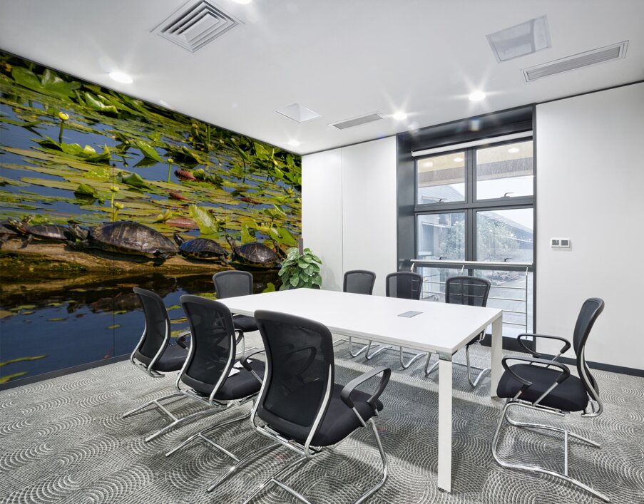 Turtle Row Spa Line Up Wall Printing