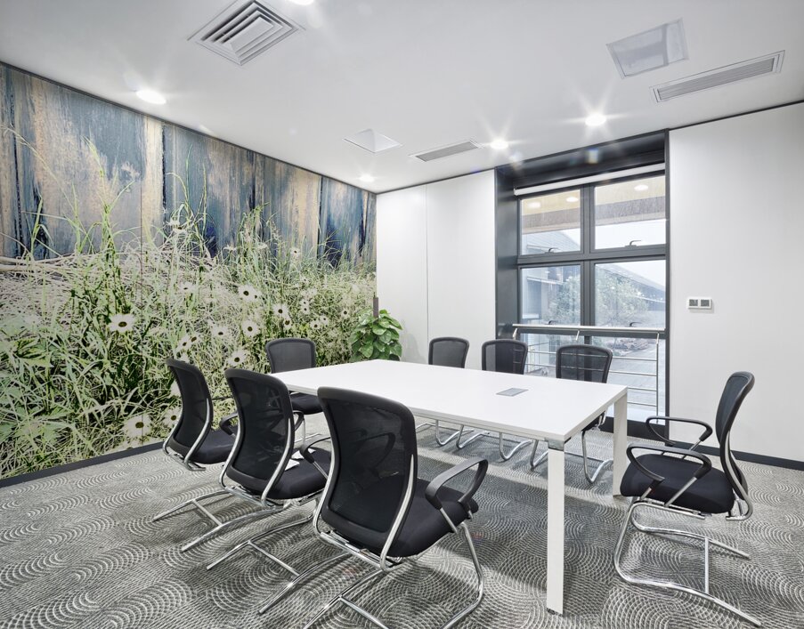 Serene Summer Daises  Wall Printing