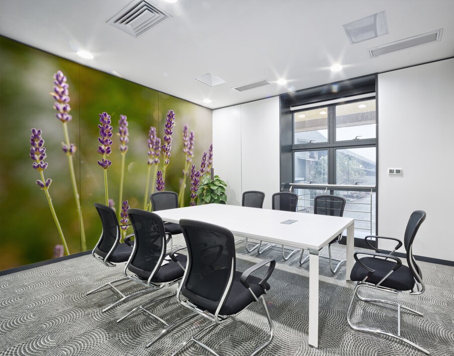 Closeup macro shot of purple lavender flowers in the sunlight  Wall Printing