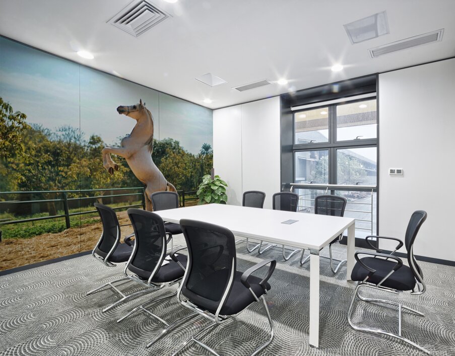 white horse enh 1 Wall Printing