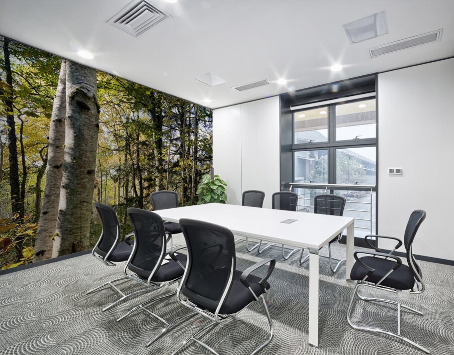 Autumns Sunlight in the Scottish Highlands Wall Printing