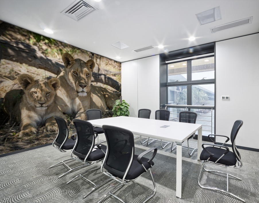 Lion cub 03 Wall Printing