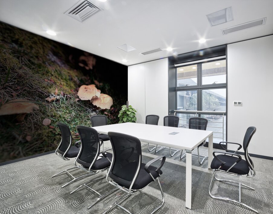 Scenes from the Trail- Forest Mushrooms Wall Printing