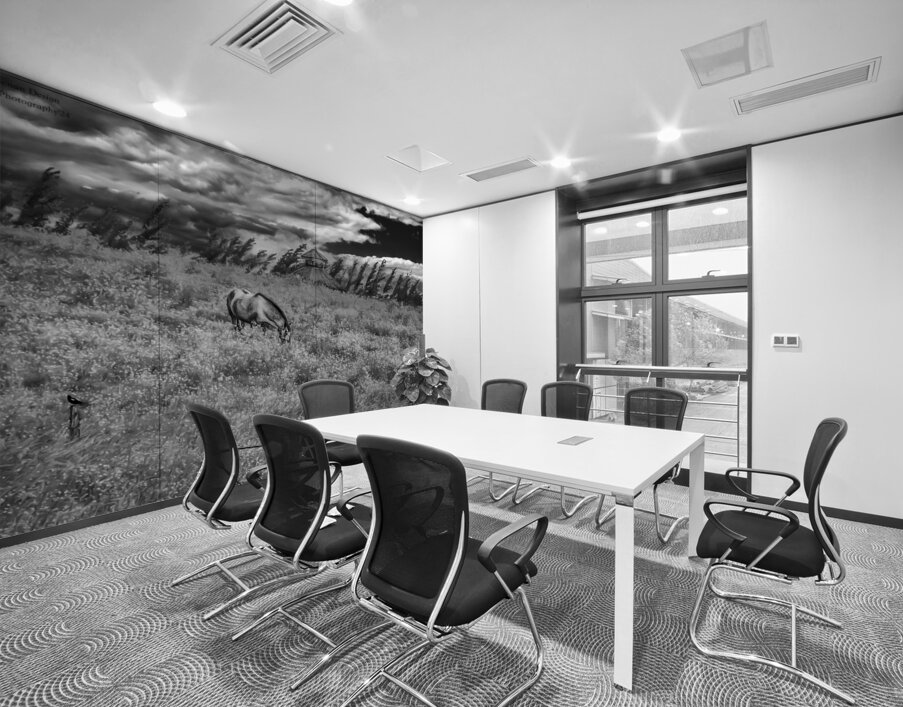 11552 Grazing in the Fields Wall Printing