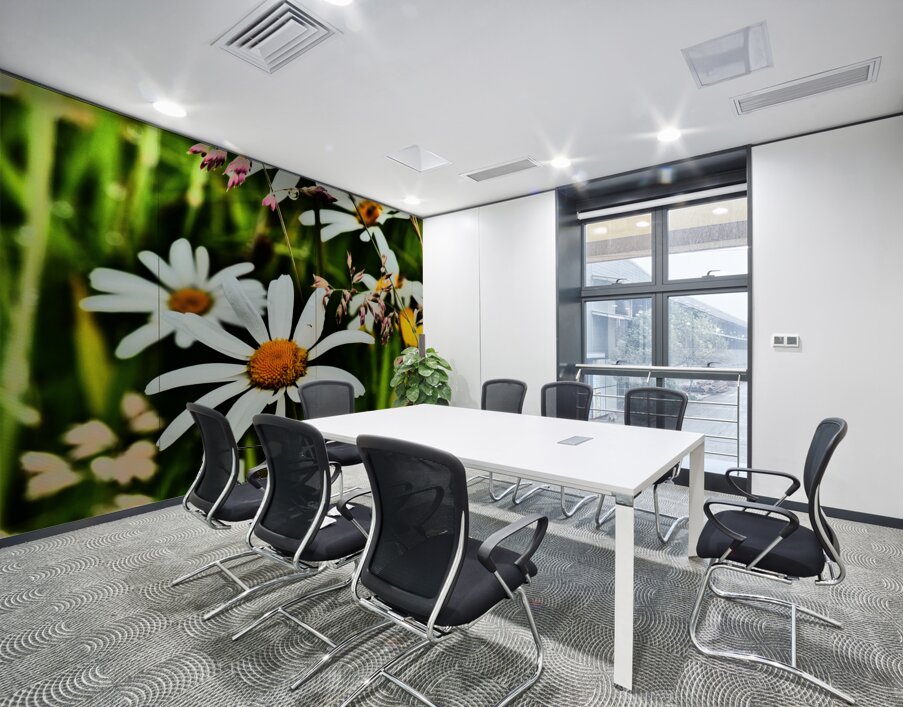  Wild Daises in the Scottish Highlands  Wall Printing